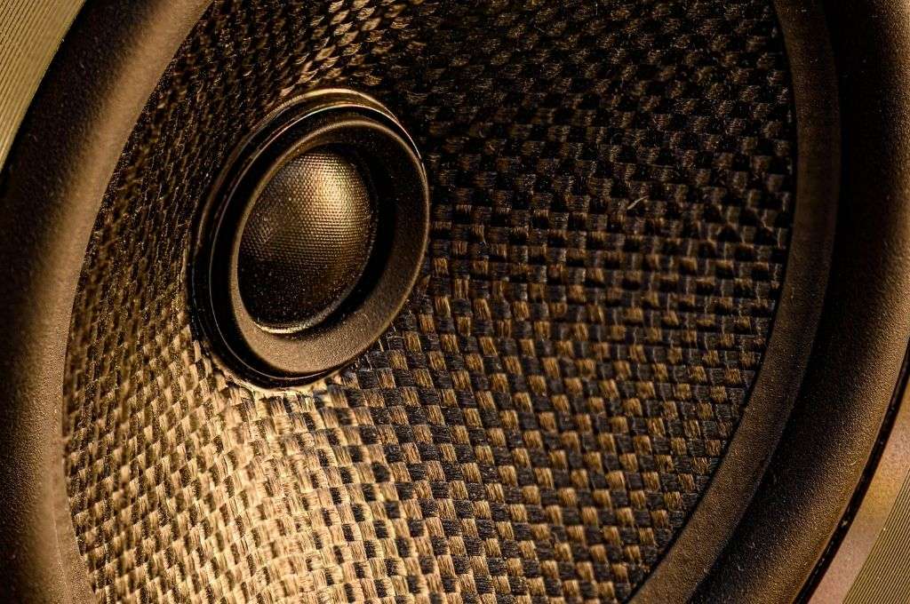 Closeup of a speaker driver