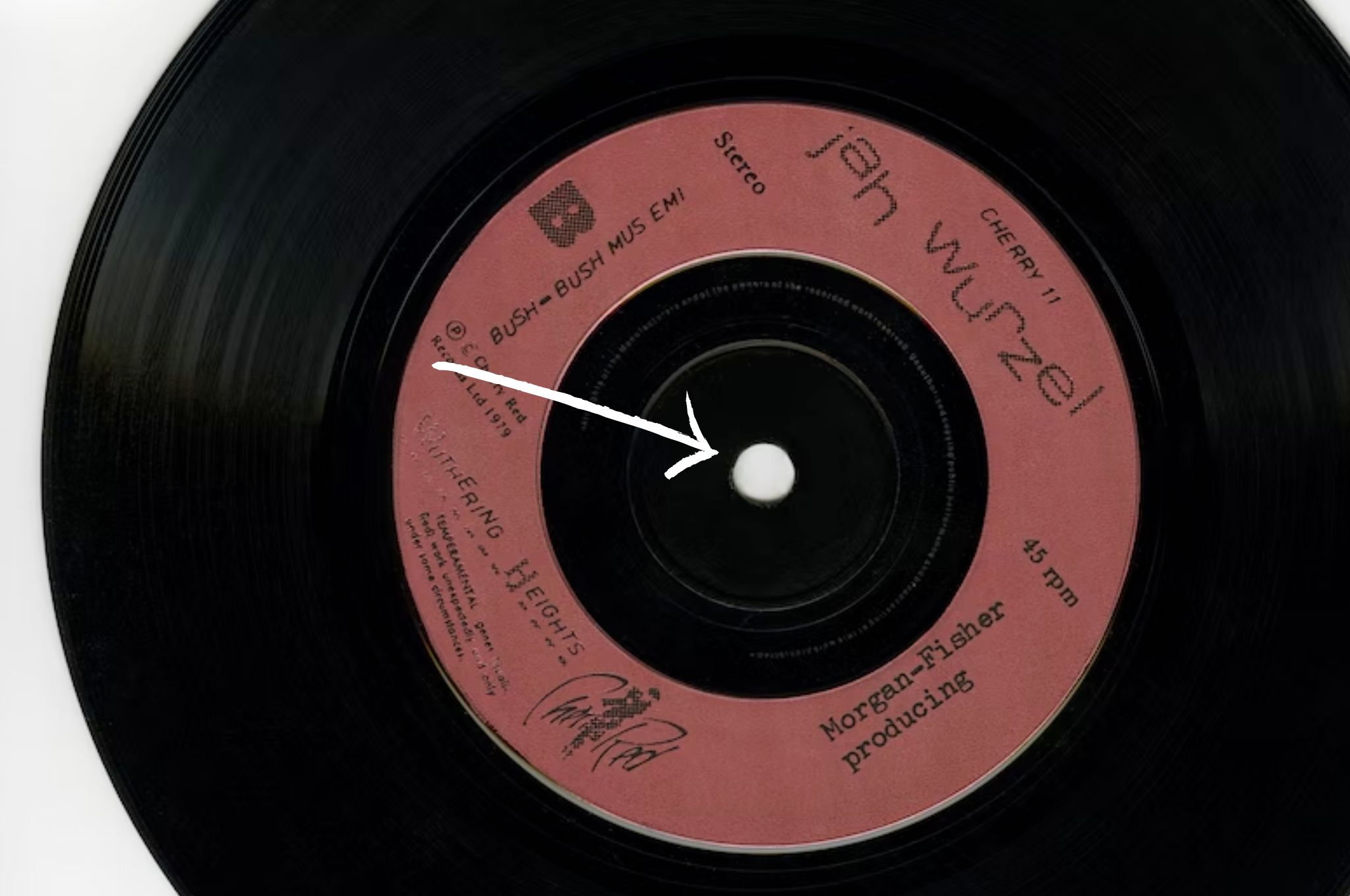 Center hole of a vinyl record